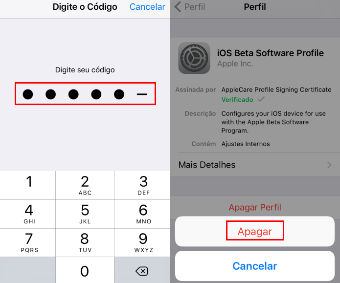 Confirmando a exclusão do Perfil iOS Beta Software Profile (Foto: Reprodução/Edivaldo Brito)