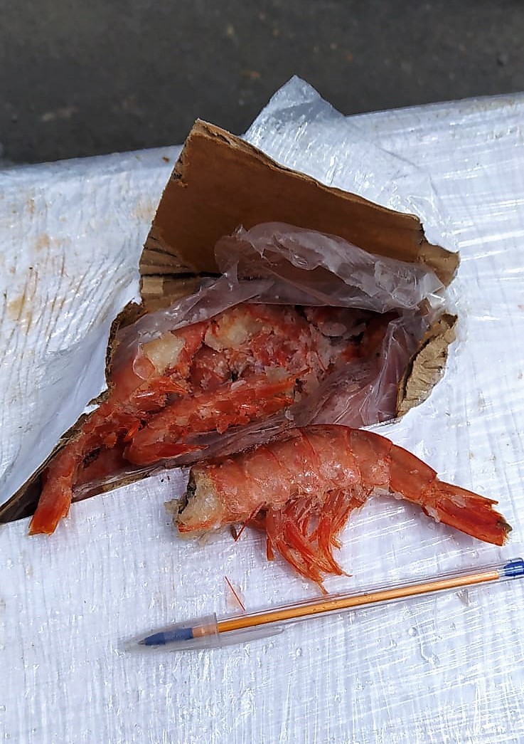 Homem é preso com 4,5 toneladas de camarão contrabandeado guardados em condições inadequadas em SC