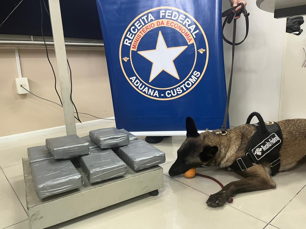 Receita Federal apreende 11 quilos de coca&iacute;na no Porto de Natal &mdash; Foto: Cedida