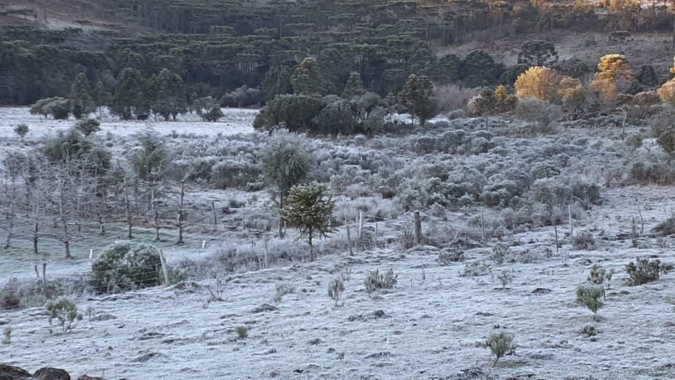 Santa Catarina Registra Temperatura Negativa No Amanhecer De Domingo Santa Catarina G1