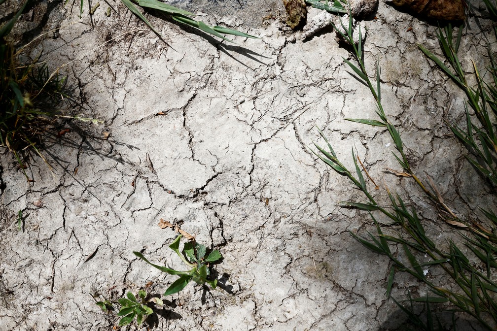 Históricos baixos níveis de água no rio Tibre de Roma revelam uma parte de seu leito seco (21/06/22). — Foto: REUTERS/Yara Nardi