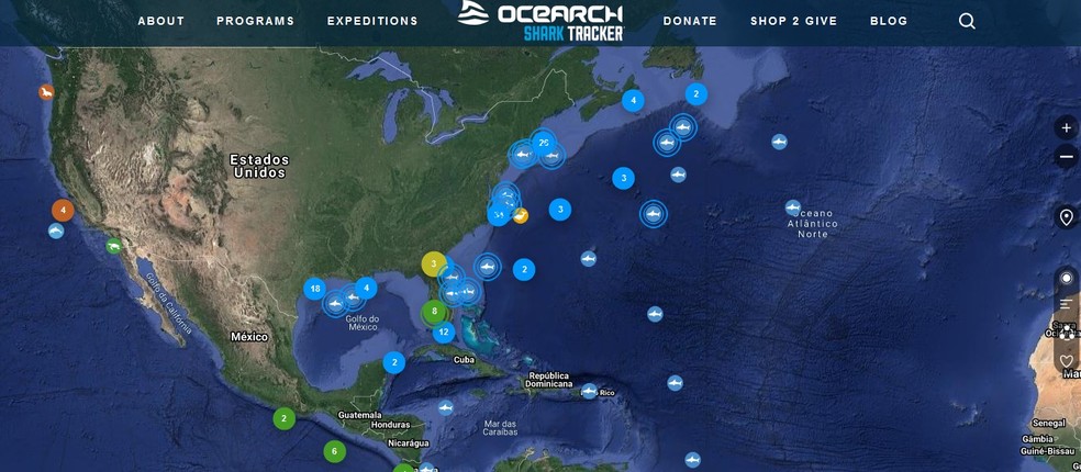 Ocearch faz monitoramento de tubarões migratórios — Foto: Reprodução site Ocearch