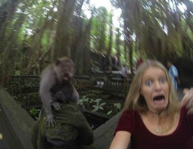 Macaco que tirou uma selfie é a personalidade do ano para a PETA