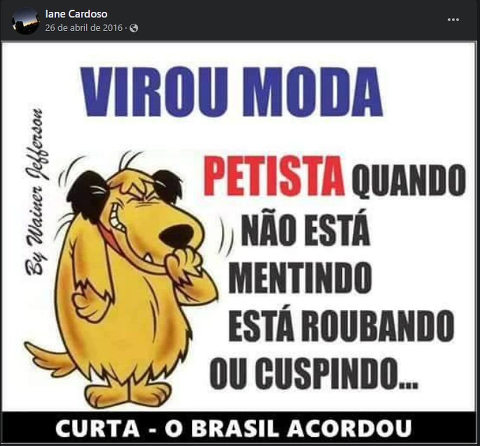 Postagem  atribuÃ­da por Gleisi Hoffmann Ã  delegada Iane Cardoso, que investiga a morte de um apoiador de Lula no ParanÃ¡ â Foto: ReproduÃ§Ã£o/Facebook