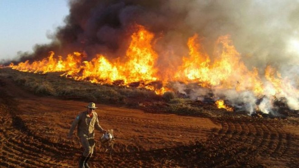 O nÃºmero de focos de incÃªndio e de alertas de desmatamento cresceu - mas o Ibama diminuiu o ritmo das multas. Na foto, uma queimada no Mato Grosso do Sul â€” Foto: Bombeiros MS