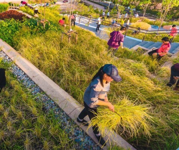Universidade na Tailândia tem teto verde de 7 mil m² que produz 20 toneladas de alimentos por ano (Foto: Panoramic Studio / Divulgação)
