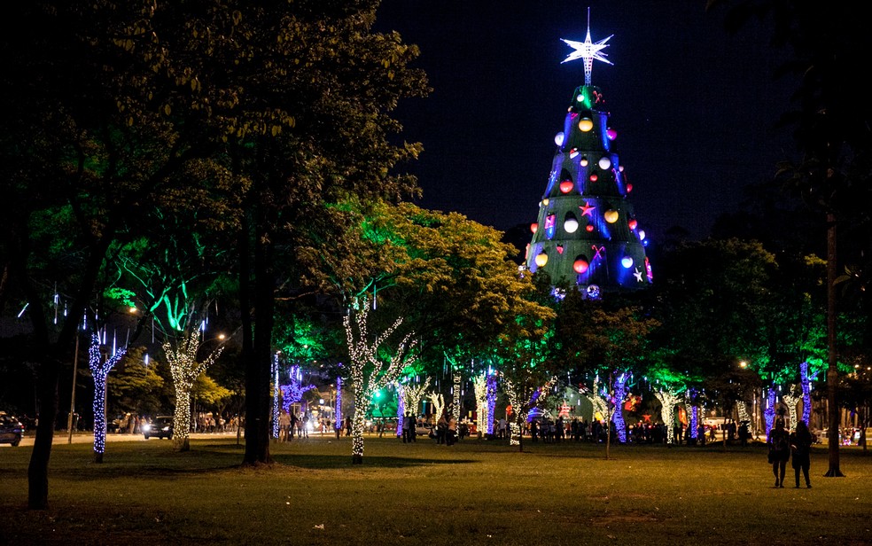  Árvore de natal é vista em meio à árvores decoradas com luzes no parque do Ibirapuera, em São Paulo, em 2014 — Foto: Marcelo Brandt/G1