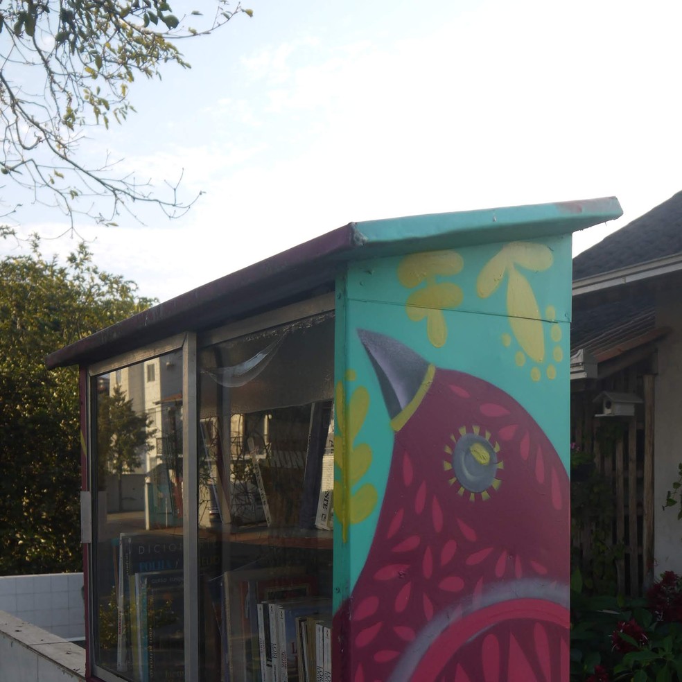 Estrutura colorida foi fixada ao muro da casa do professor, no bairro Floresta — Foto: Arquivo pessoal