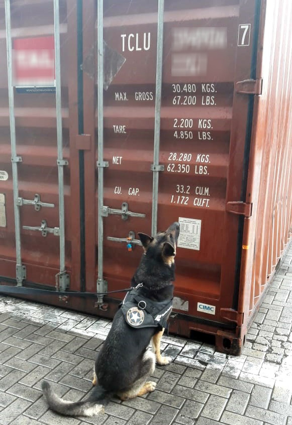 Cães farejadores ajudaram na localização da droga no Porto de Santos, SP — Foto: G1 Santos