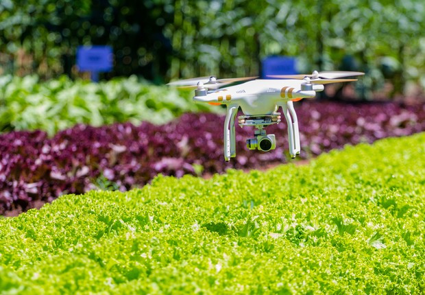 agricultura, tecnologia no campo, agtechs (Foto: Getty Images)