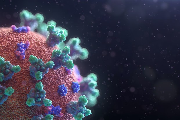 Cientistas acreditam que a capacidade de infecção do vírus seja, ao menos em parte, causada pelo seu grande número de mutações (Foto: Reprodução/Fusio Medical Animation)