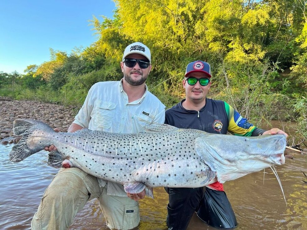 Peixe foi pescado no Rio Miranda, em Bonito — Foto: Arquivo Pessoal