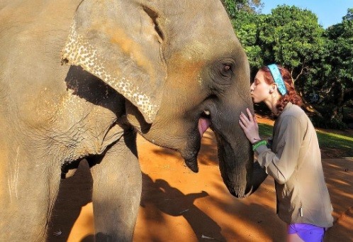 Whitney posa em paz com um elefante