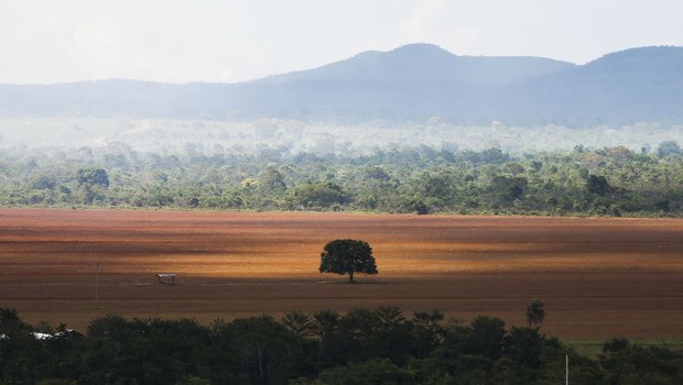 Área de cerrado desmatada para plantio no município de Alto Paraíso - desmatamento (Foto: Marcelo Camargo/Agência Brasil)