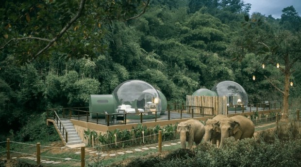 As Jungle Bubbles, do Anantara Golden Triangle Elephant Camp & Resort, oferecem hospedagem em meio à natureza (Foto: Divulgação)