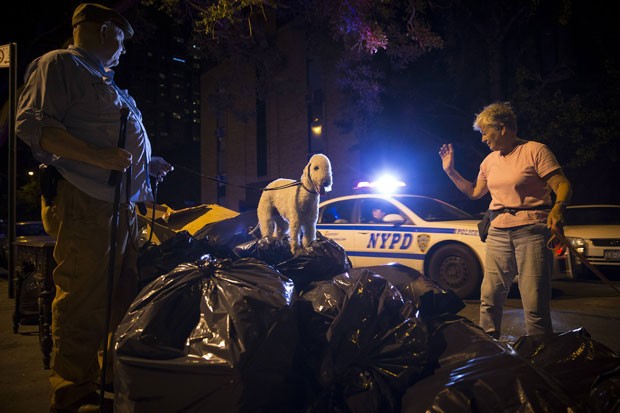 G1 - Grupo usa cães para caçar ratos gigantes na cidade de Nova York -  notícias em Planeta Bizarro