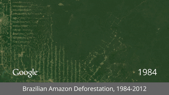 Animação da mudança na floresta Amazônica entre 1984 e 2012 (Foto: Divulgação/Google)