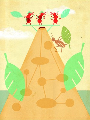 O baile das formigas (Foto: Daniel Kondo)