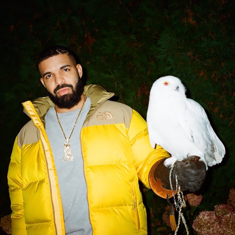 Drake e sua coruja (como colar para combinar) (Foto: Reprodução)