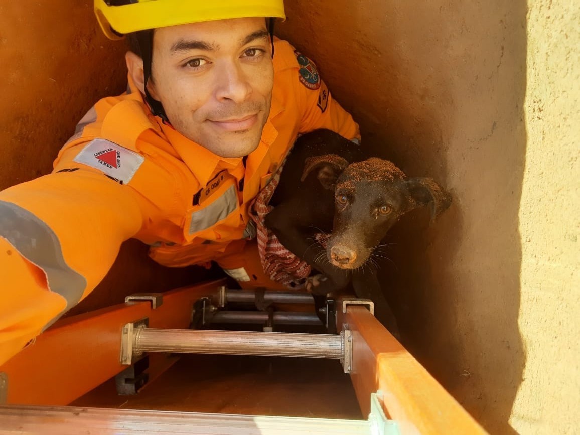 Cão é resgatado após ficar preso em fundação de concreto com mais de 3m em Divinópolis