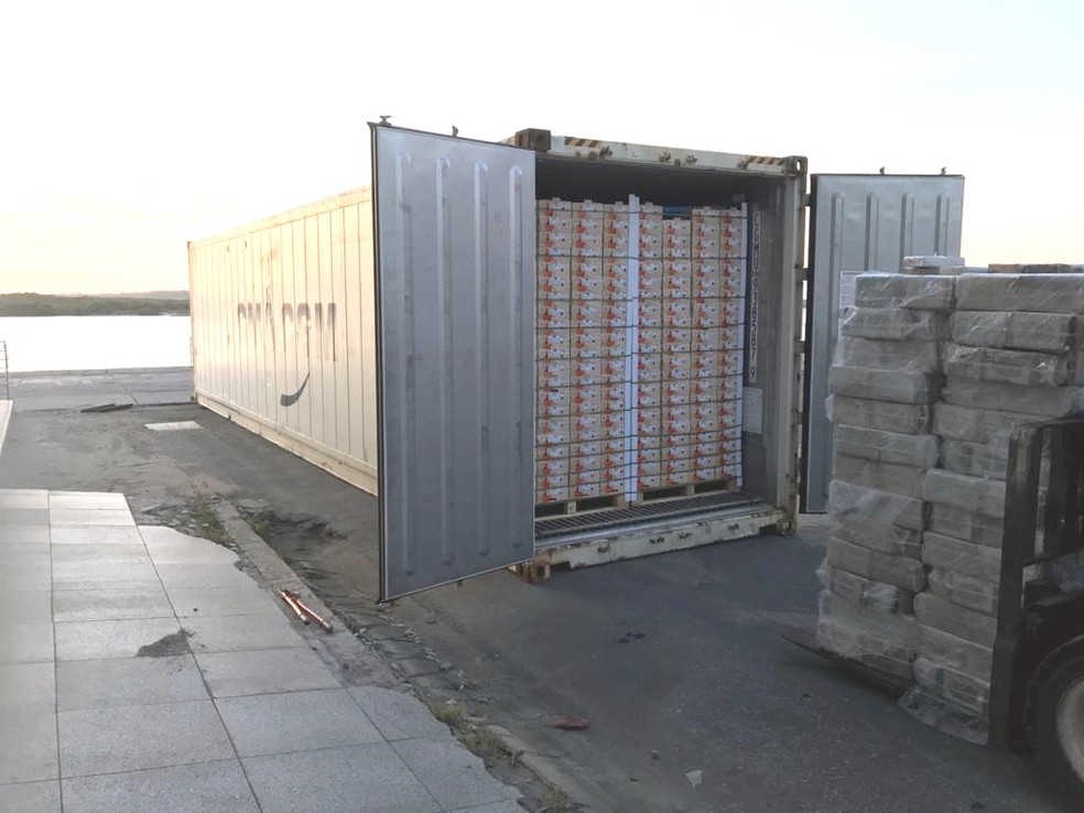 Drogas estavam dentro de container, no Porto de Natal, que seguia para a Europa — Foto: PF/Divulgação