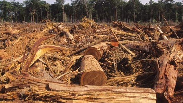 Dados oficiais mostram que o desmatamento na Amazônia é crescente desde 2012 (Foto: GETTY IMAGES VIA BBC)