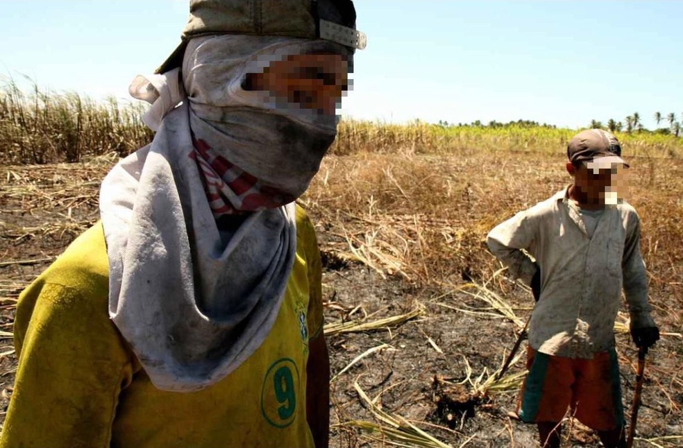 Crianças são flagradas em trabalho ilegal e degradante no interior do Ceará — Foto: TV Verdes Mares/Reprodução