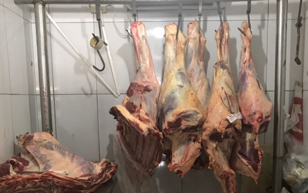 Carne é apreendida durante operação em Goiânia, Goiás (Foto: MP-GO/ Divulgação)