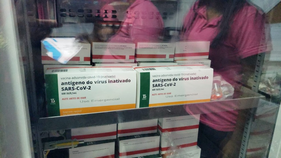 Novo lote vai ajudar a completar a vacinação de idosos e profissionais de saúde — Foto: Anna Beatriz Lourenço