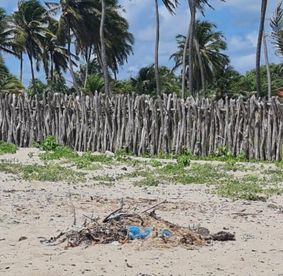 Moradores registram lixo queimado e até seringa em praia do Piauí — Foto: Arquivo pessoal