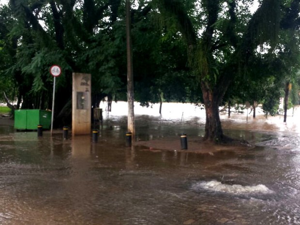 Nível do Rio Piracicaba chega a 5 metros e transborda  (Foto: Caroline Giantomaso/G1)