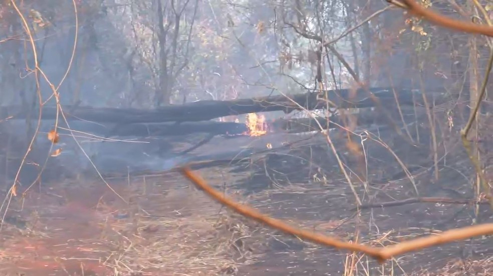 Fogo atinge estação de Jataí em Luís Antônio, SP — Foto: Luciano Tolentino/EPTV