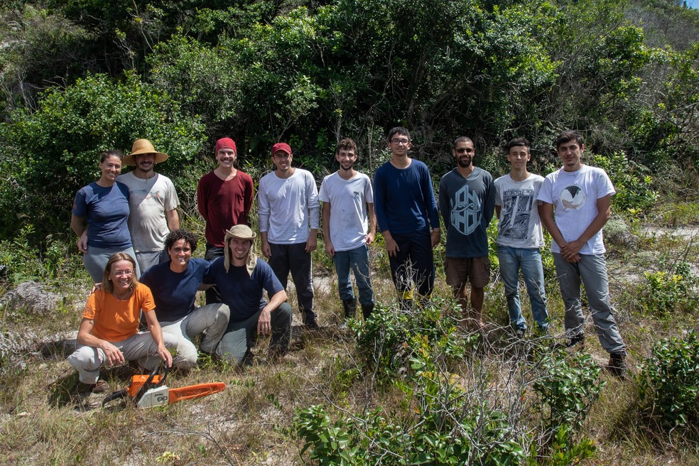 Voluntários do Instituto Hórus se reúnem no Parque Natural Municipal das Dunas da Lagoa da Conceição — Foto: Celso Tavares/G1