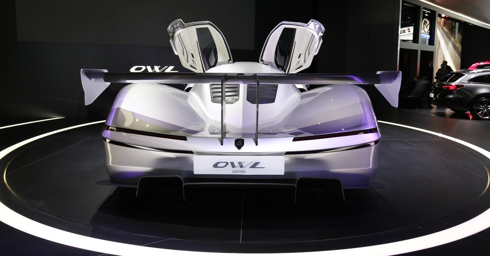 Até que parece uma coruja, não? (Foto: Divulgação/Newspress)