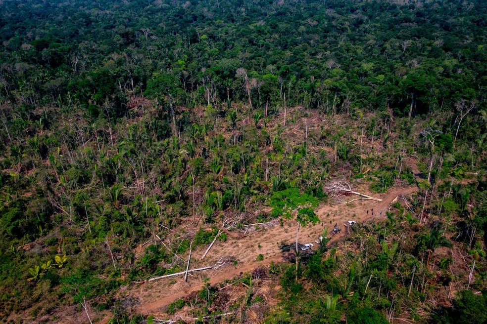 Colniza foi o município com maior área de floresta desmatada em Mato Grosso em 2019 — Foto: Marcos Vergueiro/SECOMMT