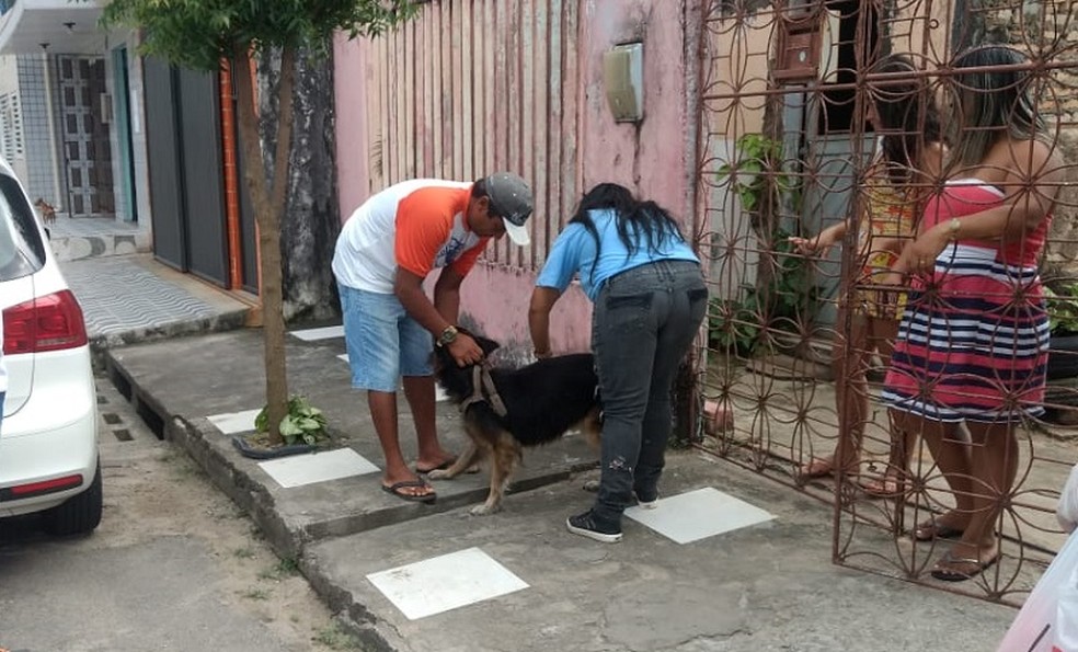 Campanha de vacinaÃ§Ã£o antirrÃ¡bica segue atÃ© 18 de outubro em Natal.  â Foto: SMS/Natal/DivulgaÃ§Ã£o