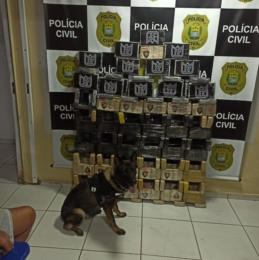Polícia apreende 145 kg de cocaína e crack dentro de ar-condicionado de ônibus em Teresina  — Foto: Divulgação/PCPI