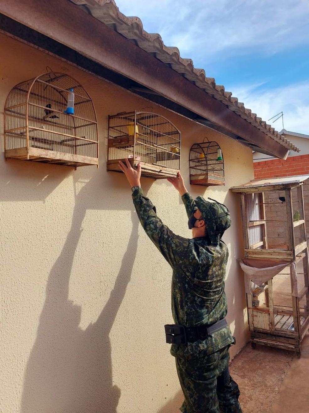Morador de Pirapozinho recebeu multa de R$ 2 mil por manter aves em cativeiro — Foto: Polícia Militar Ambiental