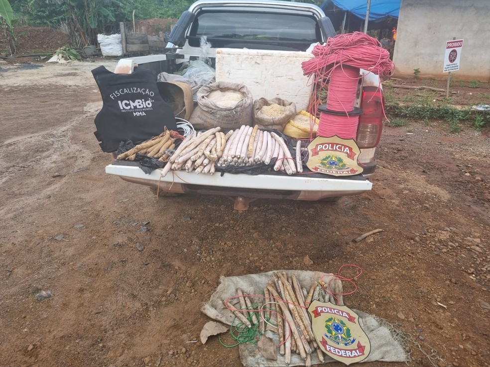 Explosivos foram apreendidos em garimpos ilegais no Pará  — Foto: PF/Divulgação 
