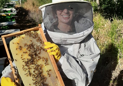 apicultura-girassol-goiás (Foto: Acervo pessoal/Simone Dameto)