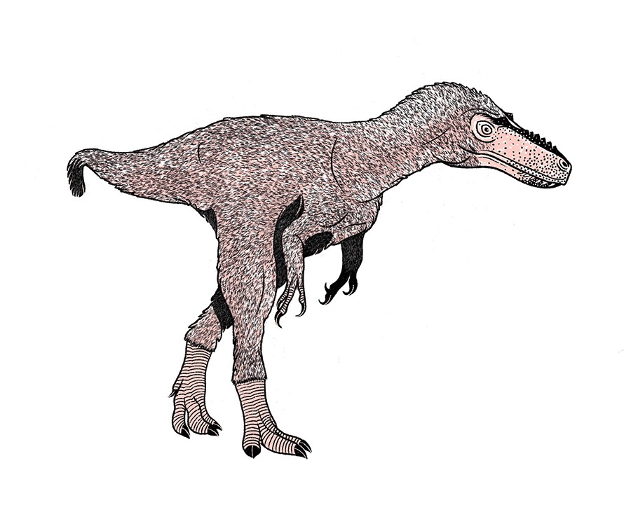 SUSKYTRANNUS HAZELAE Viveu há 92 milhões de anos na região onde hoje é o Novo México, Estados Unidos. Acredita-se que chegava a 5 metros de comprimento e pesava cerca de 1 tonelada (Foto: Ilustração: Feu)