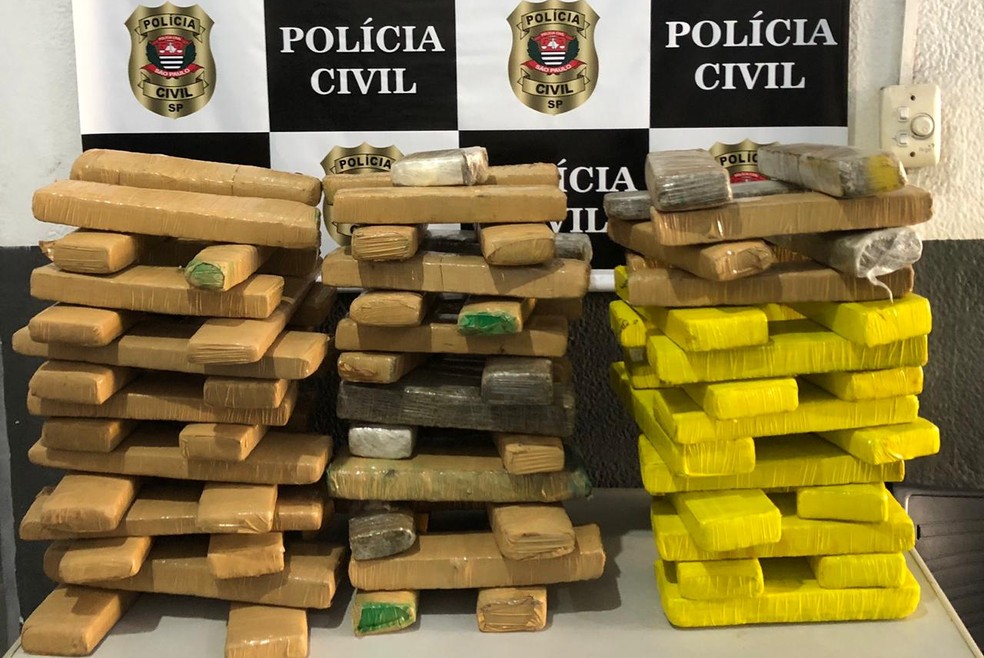 Droga foi apreendida em opera&ccedil;&atilde;o da Pol&iacute;cia Civil em bairro de Guaruj&aacute;, SP &mdash; Foto: Divulga&ccedil;&atilde;o/Pol&iacute;cia Civil 