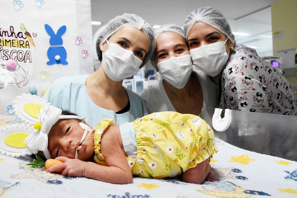 Bebês internados na UTI Neonatal do Hmib ganharam ensaio fotográfico de Páscoa — Foto: Tony Winston/Agência Brasília