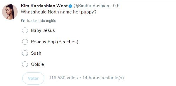 O cãozinho de North West está sem nome - e Kim Kardashian quer que você escolha qual será! (Foto: Reprodução/Instagram)