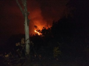 Ninguém ficou ferido e o fogo não atingiu nenhuma residência (Foto: Reprodução/Rede Amazônica)