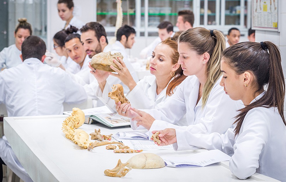 Laboratórios de Anatomia Humana utilizados por todos os cursos de saúde já receberam mais de R$ 1 milhão em investimentos — Foto: Marketing Unoeste