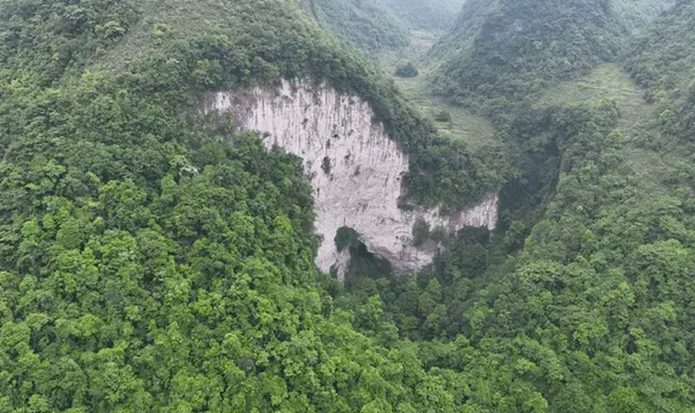 Floresta dentro de buraco na China — Foto: Cortesia Expedição de Guangxi