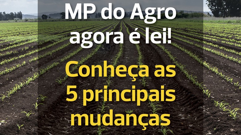 mp_do_agro_1 (Foto: Estúdio de Criação/Ed. Globo)