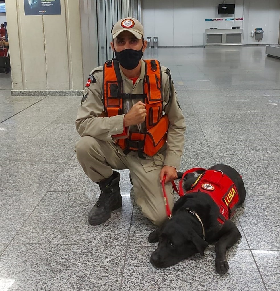 Sargento Adeilton e a cadela Luna, que já atuou também nas buscas em Brumadinho — Foto: Divulgação/Corpo de Bombeiros da Paraíba