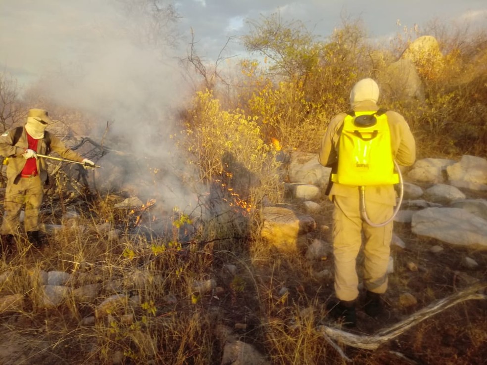 Bombeiros trabalham no controle de incÃƒÂªndio florestal no interior do RN Ã¢â‚¬â€ Foto: Corpo de Bombeiros/DivulgaÃƒÂ§ÃƒÂ£o